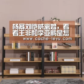 杨幂刘恺威离婚,看看王非和李亚鹏是怎么做的:乐鱼体育官网(图1) leyu平台