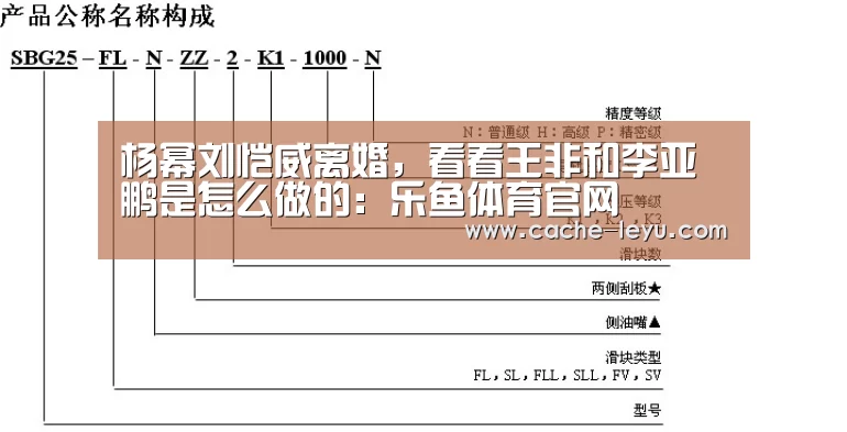 杨幂刘恺威离婚,看看王非和李亚鹏是怎么做的:乐鱼体育官网(图2) leyu平台
