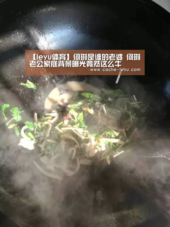 【leyu体育】何琳是谁的老婆 何琳老公家庭背景曝光竟然这么牛(图1) leyu体育