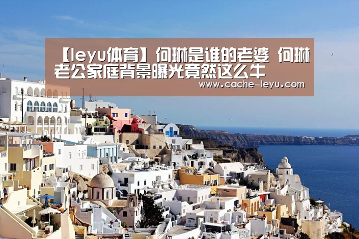 【leyu体育】何琳是谁的老婆 何琳老公家庭背景曝光竟然这么牛(图3) 乐鱼登录