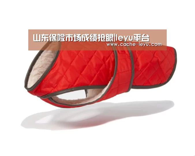 山东保险市场成绩抢眼|leyu平台(图2) 乐鱼登录