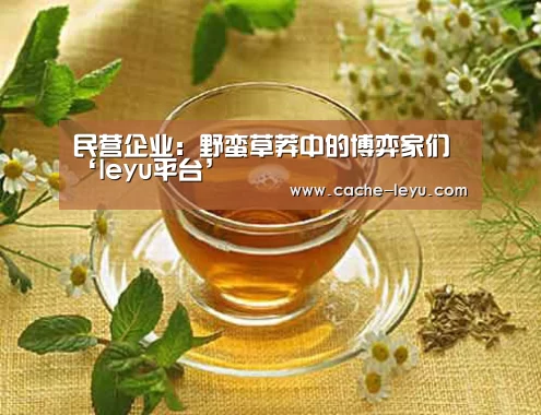 民营企业:野蛮草莽中的博弈家们‘leyu平台’(图1) 乐鱼登录