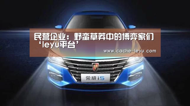 民营企业:野蛮草莽中的博弈家们‘leyu平台’(图2) leyu平台
