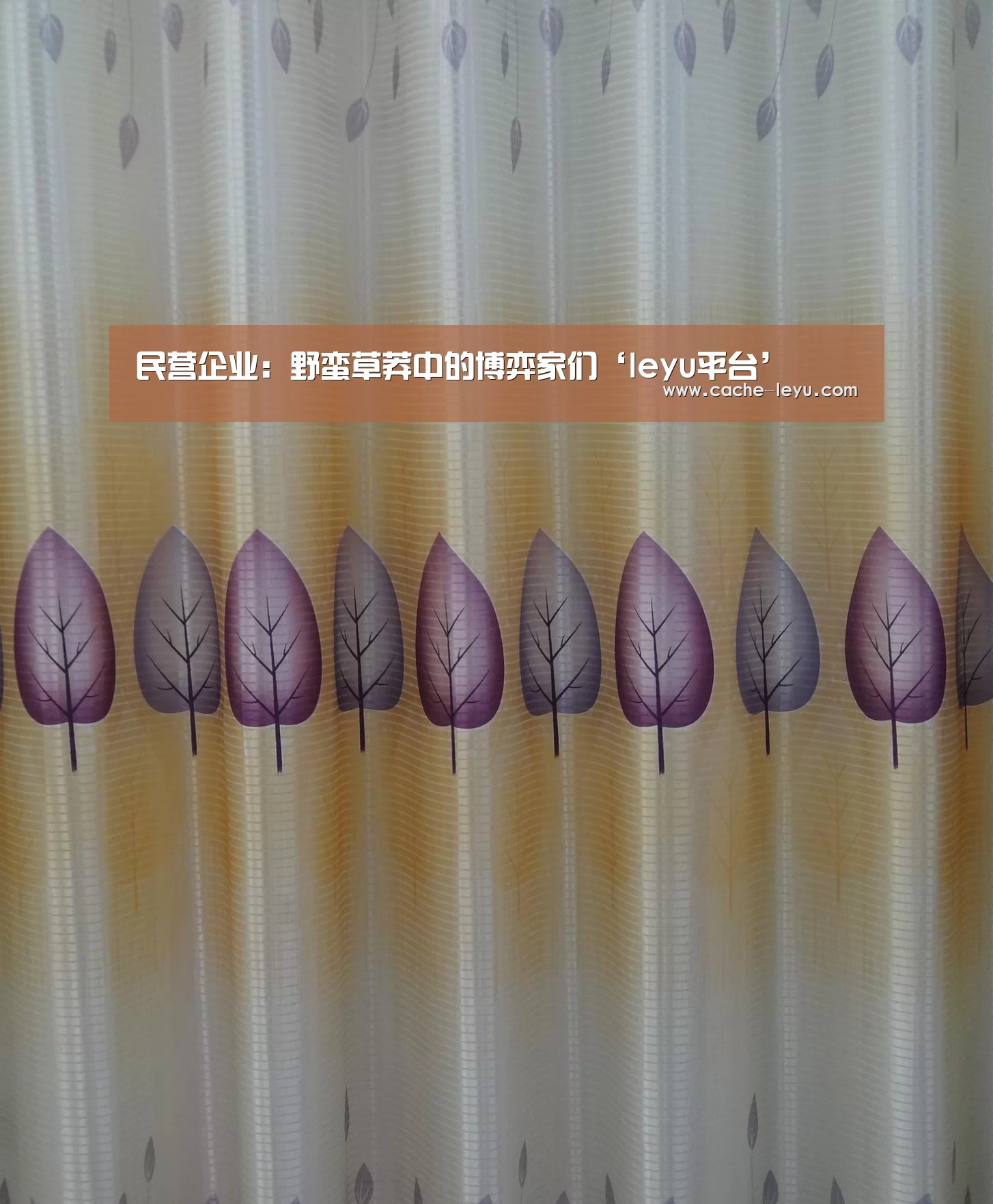 民营企业:野蛮草莽中的博弈家们‘leyu平台’(图4) 乐鱼体育官网