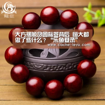 大方摆脱贫困标签背后 恒大都做了些什么?“乐鱼登录”(图4) leyu体育