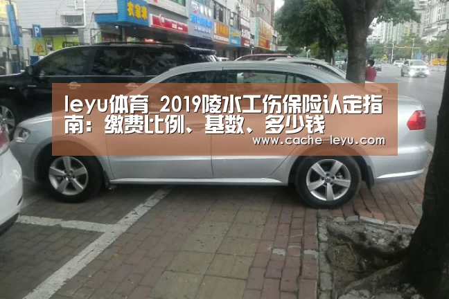 乐鱼体育官网